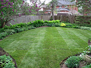 Manicured lawn and garden