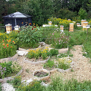The Bee Yard